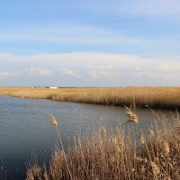 *** :: Виктор *** :: Виктор