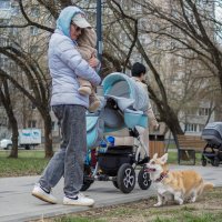 Пргулки в Весеннем Парке :: юрий поляков