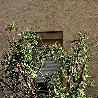 Весенние зарисовки 89 :: Алексей Кузнецов