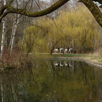 На Путяевских прудах в Москве. :: Василий Ярославцев