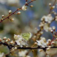 из снятого сегодня 4 :: Александр Прокудин