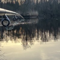 Ловись рыбка, большая и маленькая :: Дмитрий Иванов