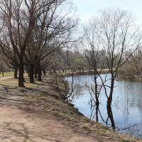 Прозрачность апреля :: Наталья Герасимова