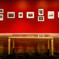 Выставка :: **** vedin