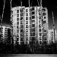 ***** :: Алексей Архипов