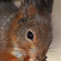 Москва. Воронцовский парк. Портрет. :: Наташа *****