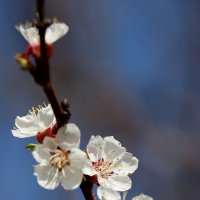 Начало :: Александр Кондаков