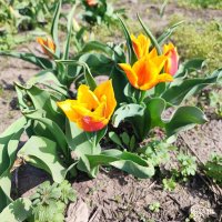 ... :: Сергей Тимоновский