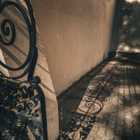 Кудрявые тени :: Татьяна Аникина