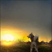 Ярик. :: leff Postnov