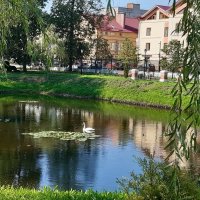 В городском парке! :: Нина Андронова
