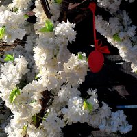 Яйцо пасхальное. :: Татьяна Помогалова Яйцо пасхальное. :: Татьяна Помогалова