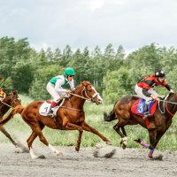 Скачки :: SanSan 