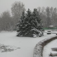 Зима в апреле. Год 2025 :: Дмитрий Никитин