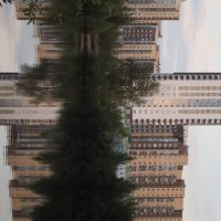 Отражение :: Дмитрий Петров