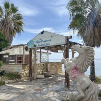 Конь...без пальто :: Oleg4618 Шутченко