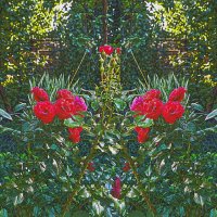 Фотозарисовка цветущего уголка :: Владимир Кроливец