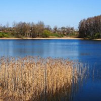 Про смоленскую весну :: Милешкин Владимир Алексеевич Про смоленскую весну :: Милешкин Владимир Алексеевич