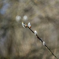 ___ :: Yuriy V