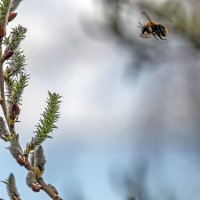 Давай посадку! :: Валерий Иванович Давай посадку! :: Валерий Иванович