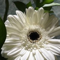 *** :: Татьяна Юрасова