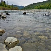 р.ШАХЕ :: Tata Wolf