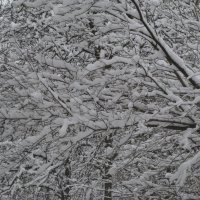 Апреля зимние красоты. Год 2025 :: Дмитрий Никитин