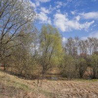 Палитра апреля... :: Владимир Жданов