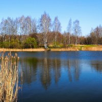 Весенняя Смоленщина :: Милешкин Владимир Алексеевич Весенняя Смоленщина :: Милешкин Владимир Алексеевич