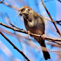 Хозяин! Всё для дома, для семьи. :: Восковых Анна Васильевна 