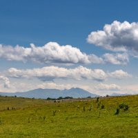 Лаго-Наки Июль 2024 :: Игорь Сикорский