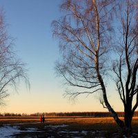 еще белеет снег.. :: Aleksandr Gal