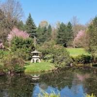 Японский сад :: ИРЭН@ .