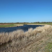 Местная река. :: Виктор 