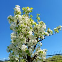 В ростовском экопарке... :: Нина Бутко