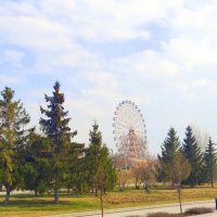 "Чёртово " колесо  на набережной в Новосибирске . :: Мила Бовкун