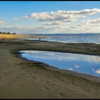 Тень :: **** vedin