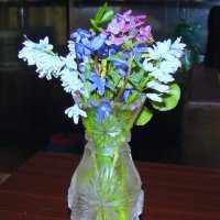 Весенний букетик :: Людмила Смородинская