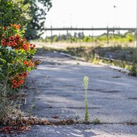 Оживлённый Тираспольский вокзал :: Коля Лукашов