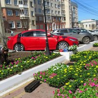 Украшаем   город. :: Галина Кузьмина