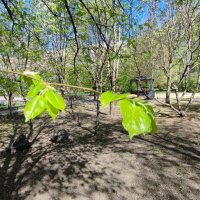 ,,, :: Сергей Тимоновский