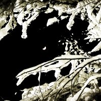 ЛУНА И СНЕГ :: HART BAD