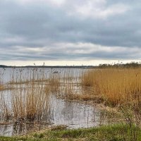 Spring 2025 1m :: Arturs Ancans