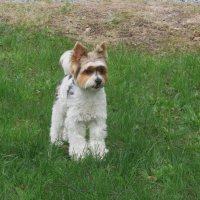 Вот какой ! :: Елена Шаламова