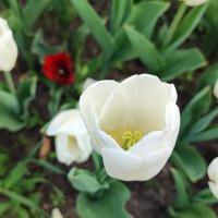 ,,, :: Сергей Тимоновский