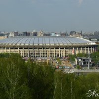 Лужники с высоты птичьего полёта. :: Наталья Вязигина