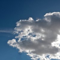 Дракон огнедышащий :: Светлана Дракон огнедышащий :: Светлана