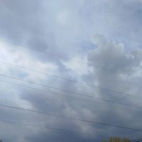 Перед грозой :: светлана льдокова
