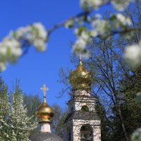 Переделкино :: Ninell Nikitina