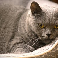 взгляд :: IMir 